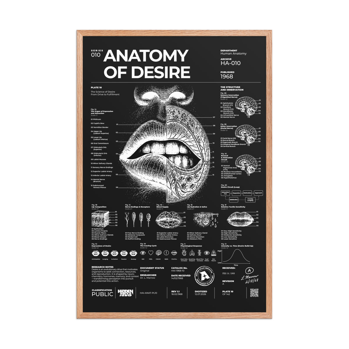Anatomy of Desire — Negative Edition framed poster, red oak frame, 24 × 36 in