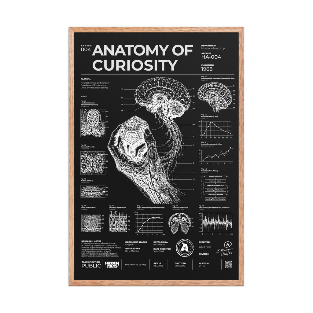 Anatomy of Curiosity — Negative Edition framed poster, red oak frame, 24 × 36 in