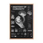 Anatomy of Curiosity — Negative Edition framed poster, red oak frame, 24 × 36 in