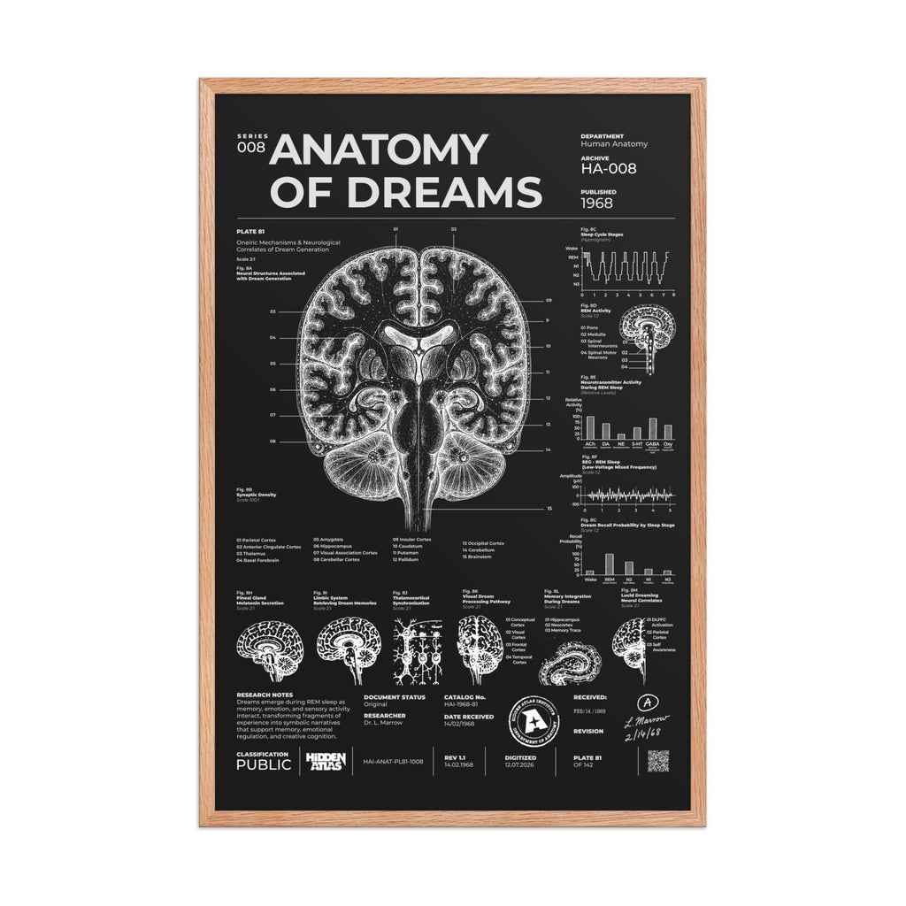 Anatomy of Dreams — Negative Edition framed poster, red oak frame, 24 × 36 in