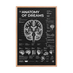 Anatomy of Dreams — Negative Edition framed poster, red oak frame, 24 × 36 in