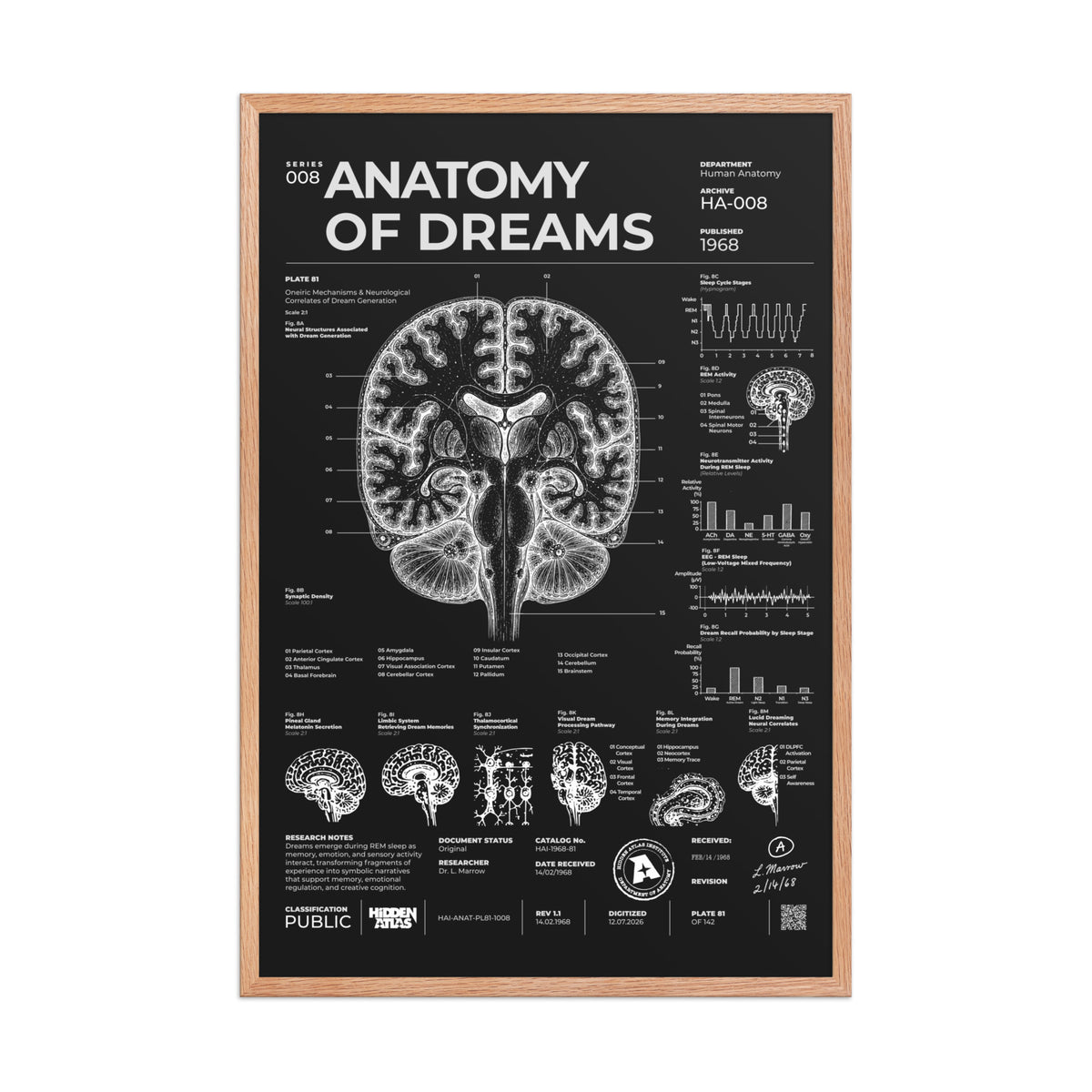 Anatomy of Dreams — Negative Edition framed poster, red oak frame, 24 × 36 in