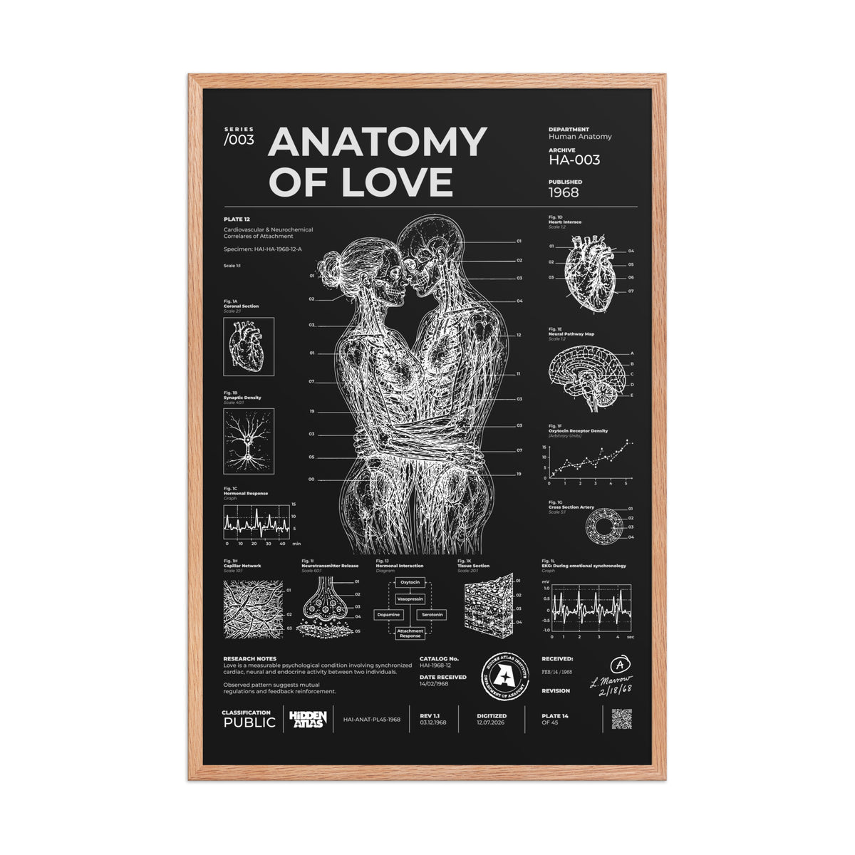 Anatomy of Love — Negative Edition framed poster, red oak frame, 24 × 36 in