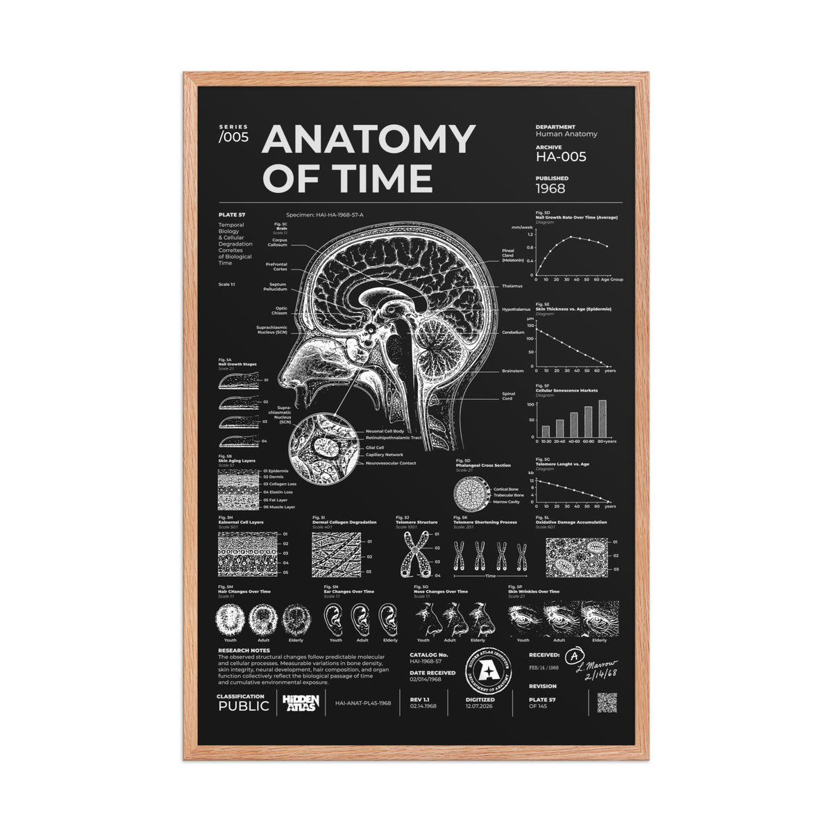 Anatomy of Time — Negative Edition framed poster, red oak frame, 24 × 36 in