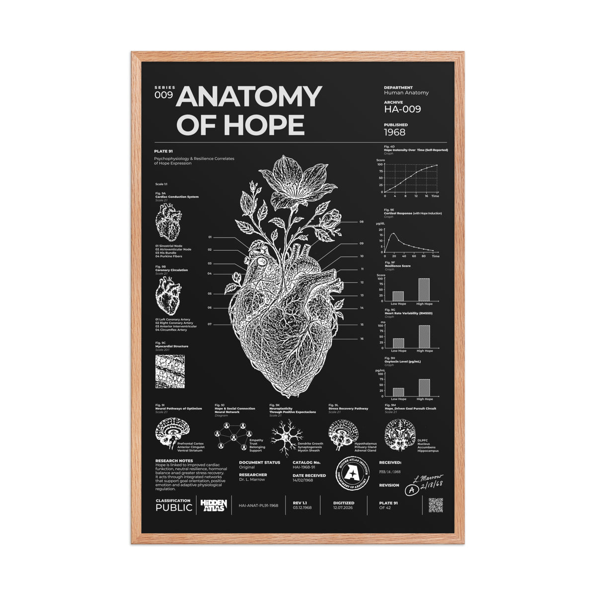 Anatomy of Hope — Negative Edition framed poster, red oak frame, 24 × 36 in