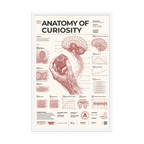 Anatomy of Curiosity framed poster, white frame, 24 × 36 in