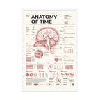 Anatomy of Time framed poster, white frame, 24 × 36 in