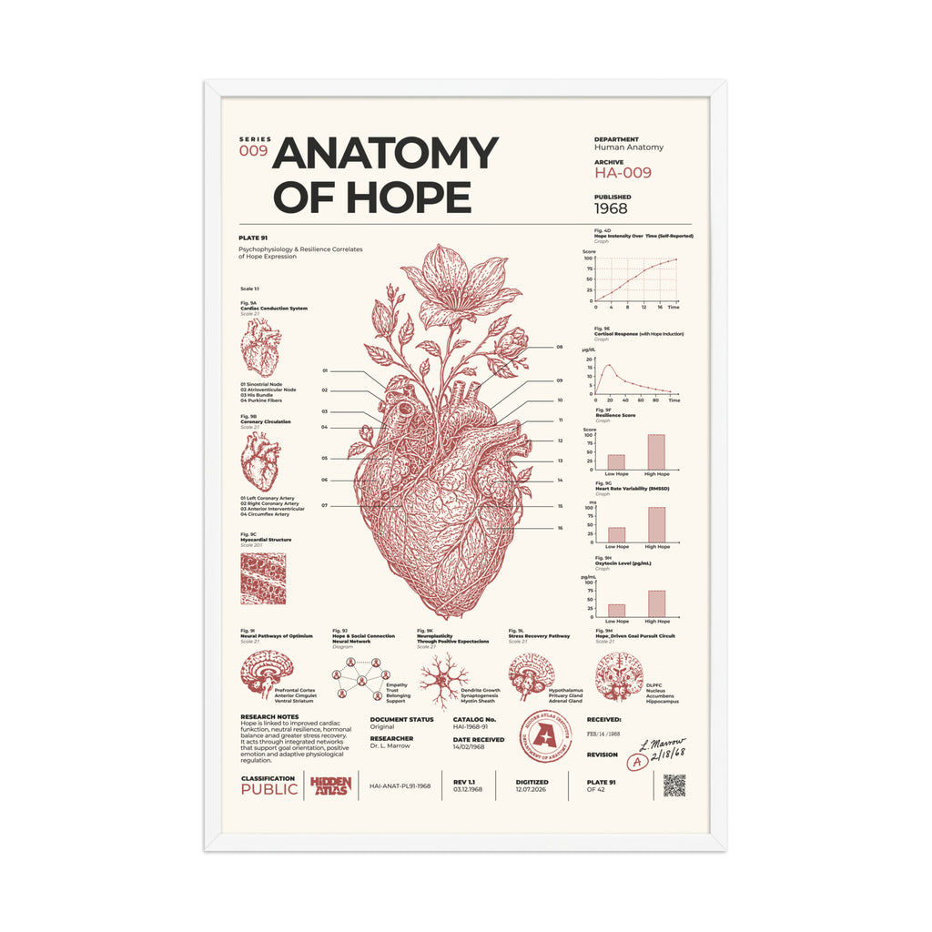 Anatomy of Hope framed poster, white frame, 24 × 36 in