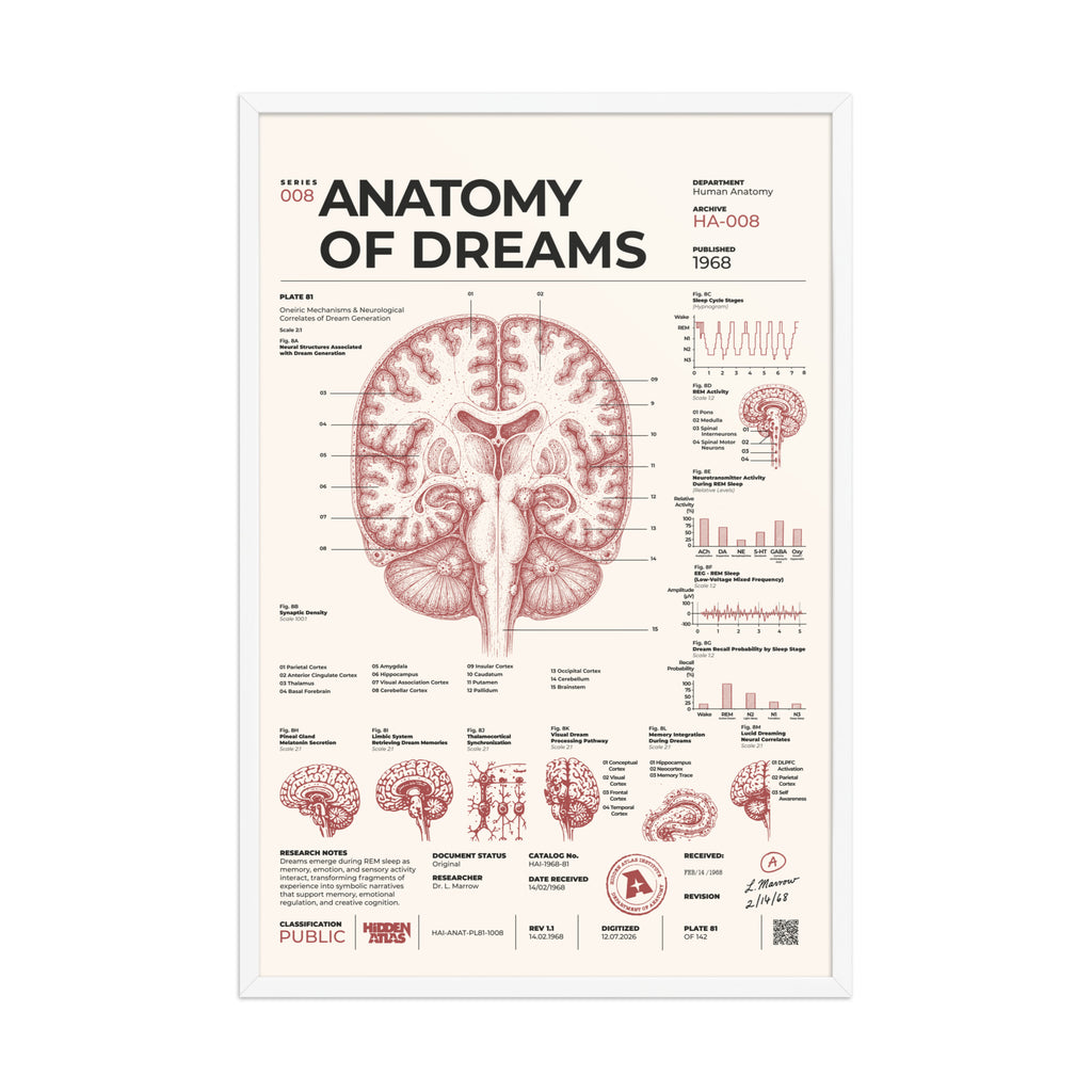 Anatomy of Dreams framed poster, white frame, 24 × 36 in