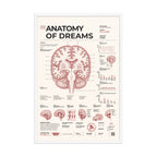 Anatomy of Dreams framed poster, white frame, 24 × 36 in