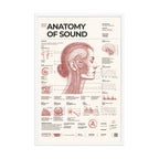 Anatomy of Sound framed poster, white frame, 24 × 36 in