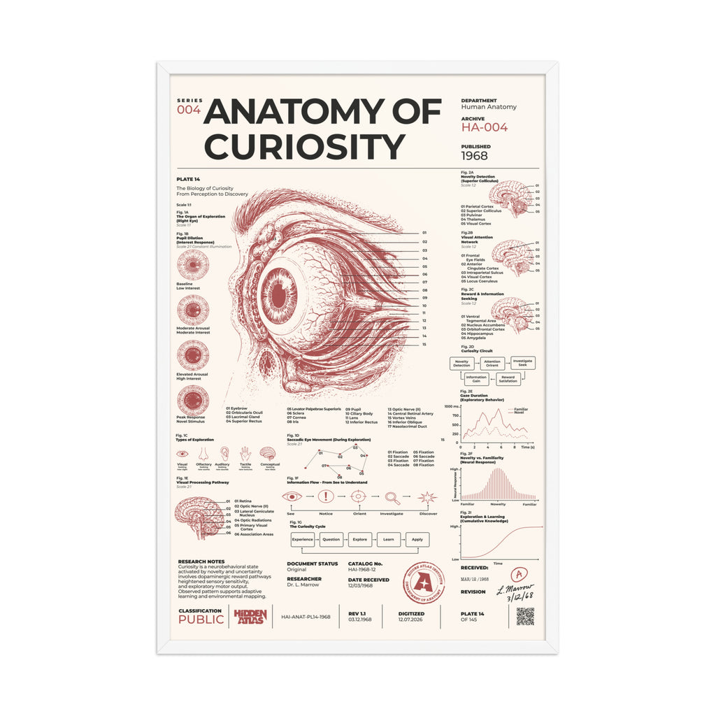 Anatomy of Curiosity framed poster, white frame, 24 × 36 in