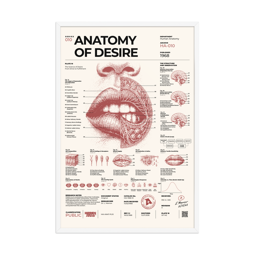 Anatomy of Desire framed poster, white frame, 24 × 36 in