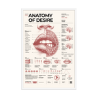 Anatomy of Desire framed poster, white frame, 24 × 36 in