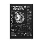 Anatomy of Curiosity — Negative Edition framed poster, white frame, 24 × 36 in