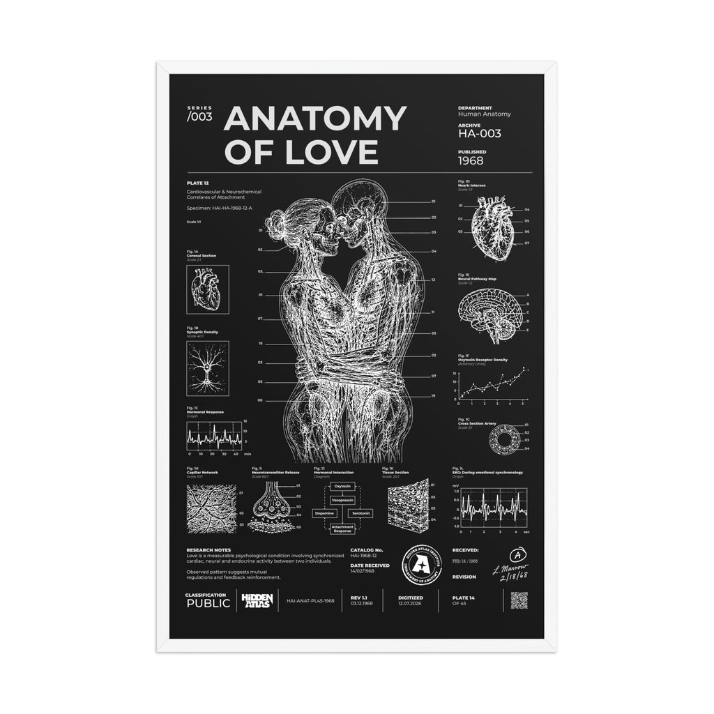 Anatomy of Love — Negative Edition framed poster, white frame, 24 × 36 in