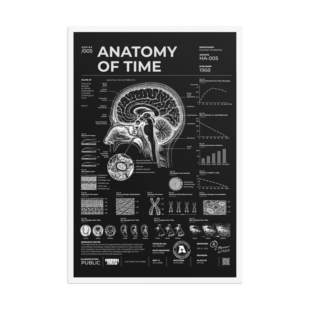 Anatomy of Time — Negative Edition framed poster, white frame, 24 × 36 in