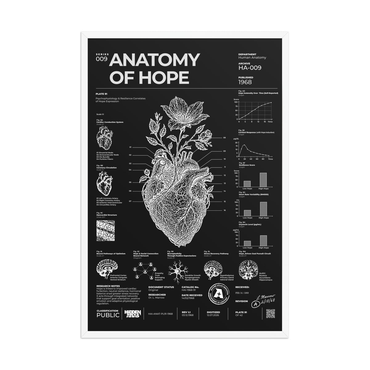 Anatomy of Hope — Negative Edition framed poster, white frame, 24 × 36 in